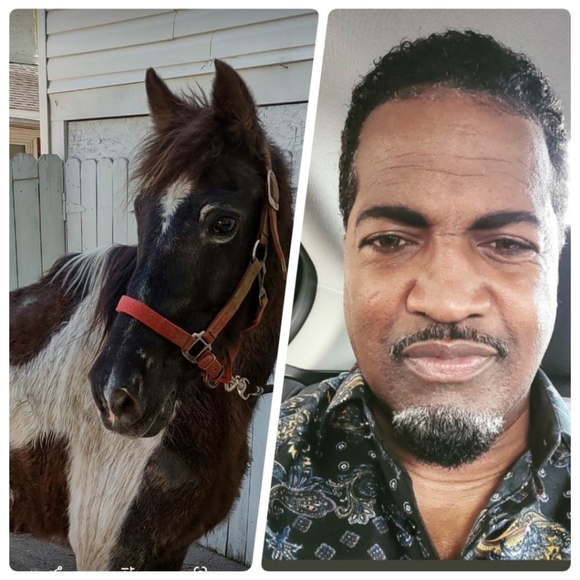 Meet your Posher, Delton - Picture 9 of 10